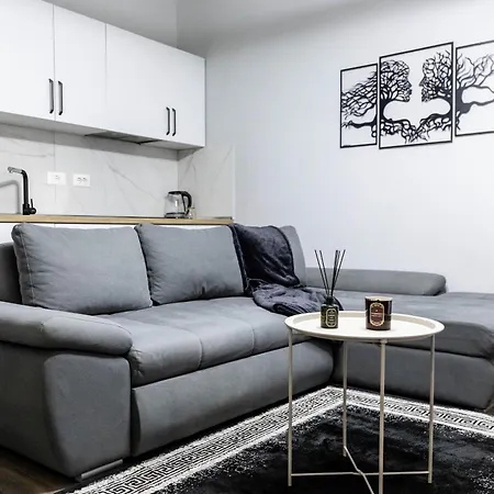 Eka Luxury 公寓 地拉那